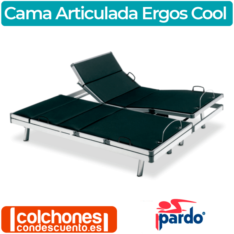 Currículum notificación calibre Somier Articulado Ergos Cool Pardo - ColchonesConDescuento.es