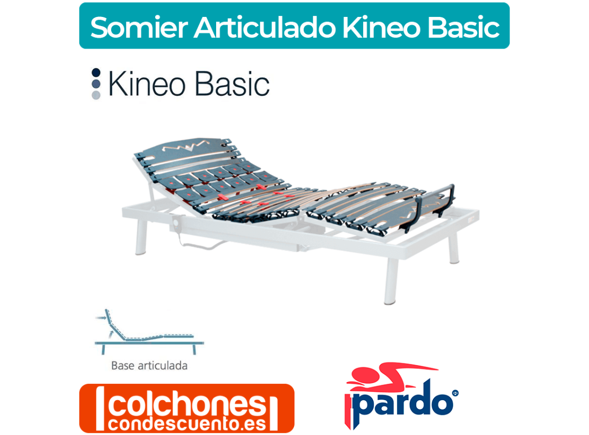 Industrial Gángster barajar Somier Articulado Eléctrico Kineo Basic de Pardo (Grupo Pikolin)