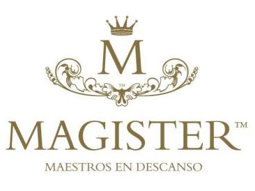 logo magister